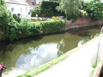 Picture 11